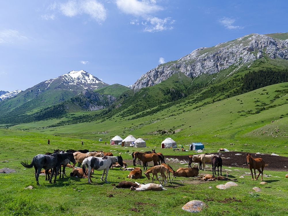 Alpe with Yurt and horses-the mares are used for milking National Park Besch Tasch art print by Martin Zwick for $57.95 CAD